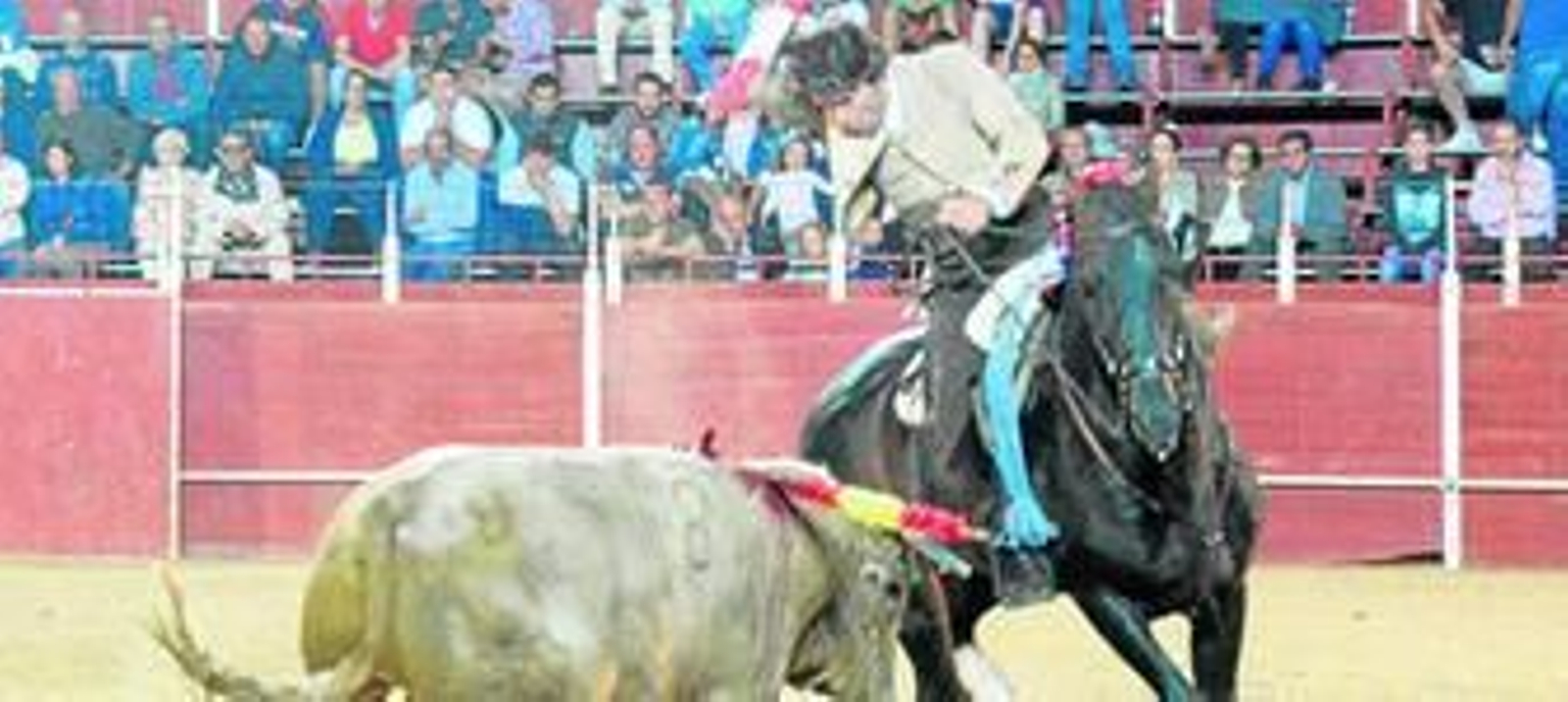 El caballo 'Guajiro', en su actuación del pasado lunes en la plaza de toros de Castuera.
