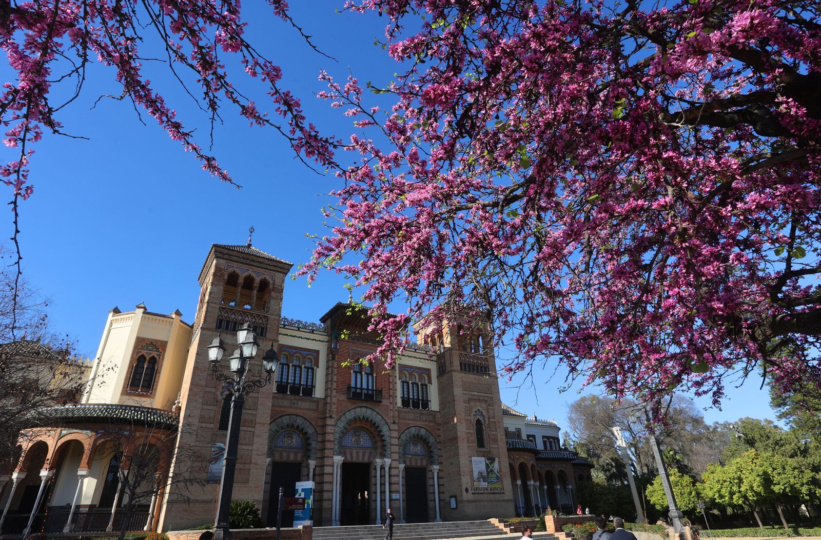 Comienzo de la primavera en Sevilla
