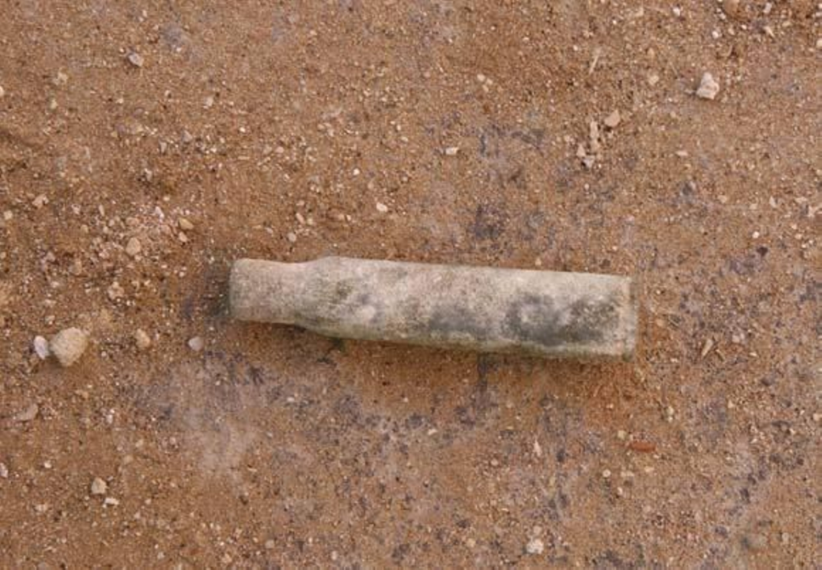 Hallan en Puerto Real una fosa con restos de más de cien fusilados durante la Guerra Civil  Foto: Borja Benjumeda