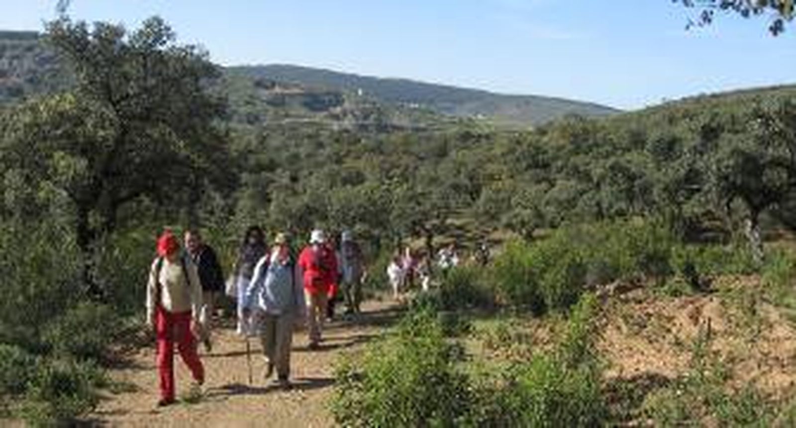 Seis caminos a Santiago mientras descubre Sevilla