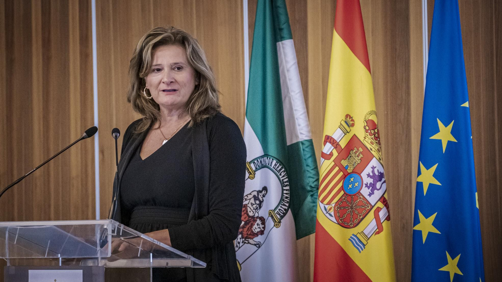 Premiados por el 55º aniversario de la Constitución Española.