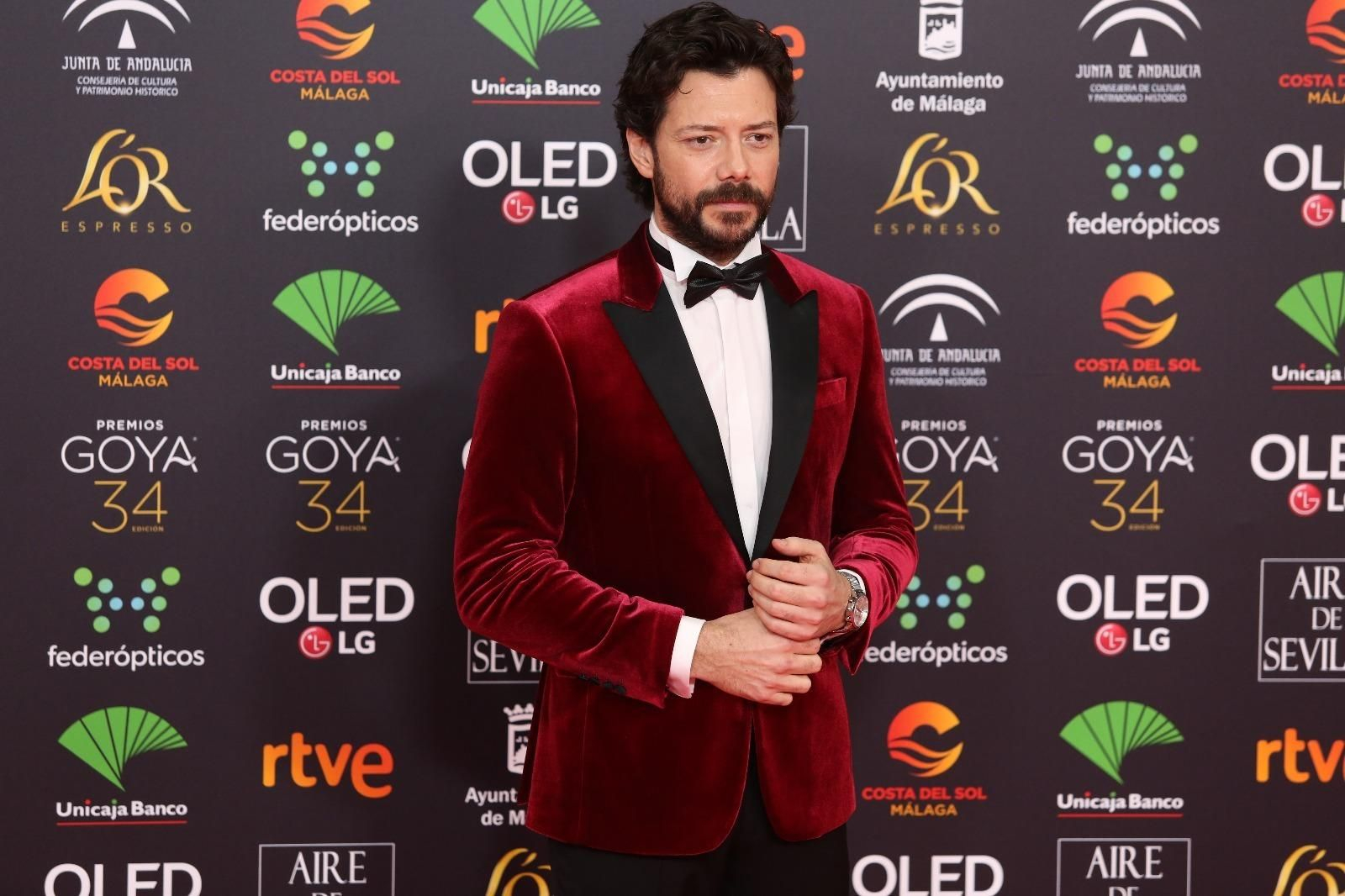 La alfombra roja de los Goya 2020 en Málaga