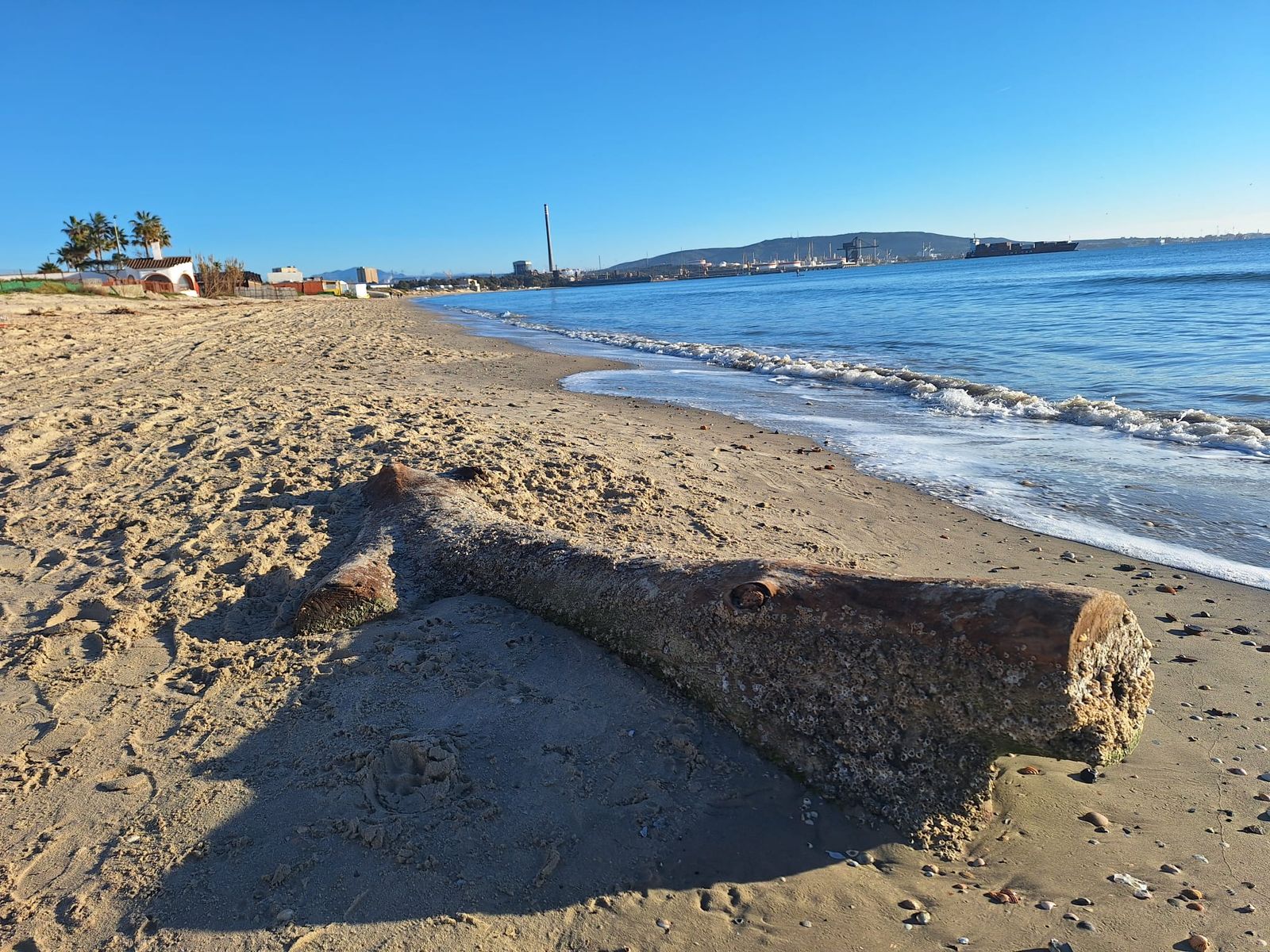 Un tronco fosilizado aparece en la orilla, testigo silencioso de otros temporales y otros inviernos.