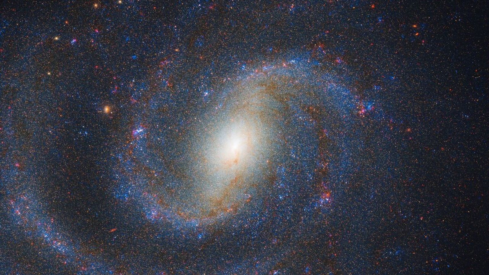 Imagen de la galaxia NGC 1637 capturada por la WFC3 del Hubble y la NIRCam del Webb