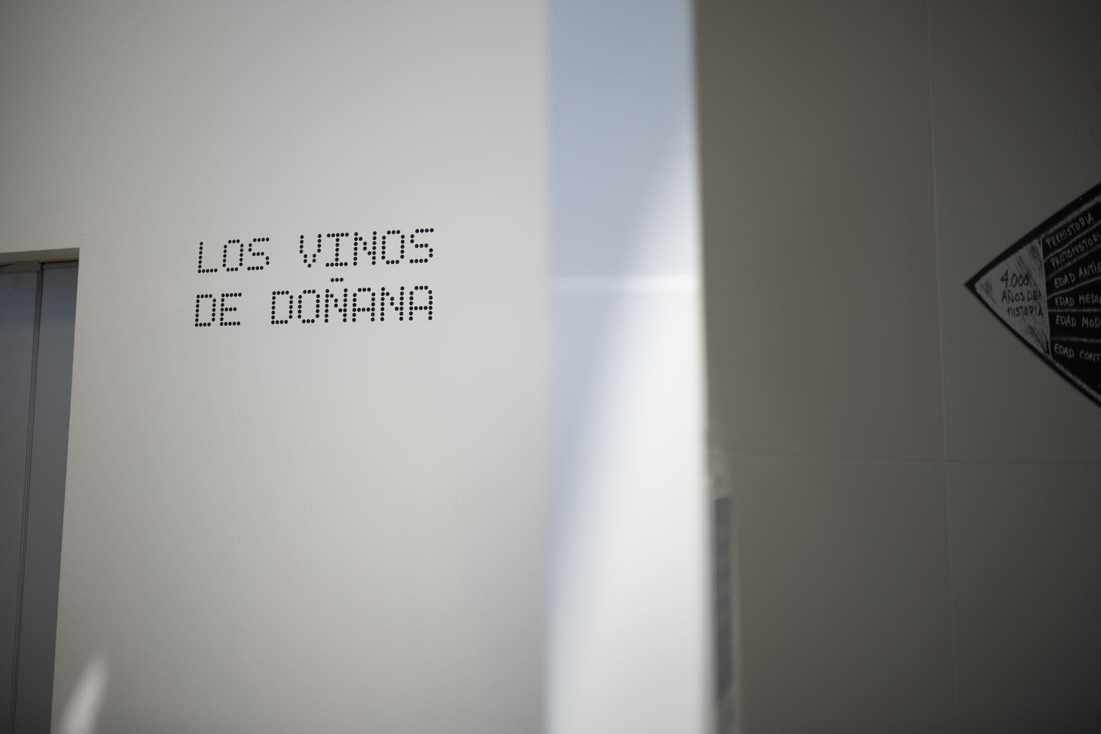 Imágenes de la vendimia en el Condado de Huelva