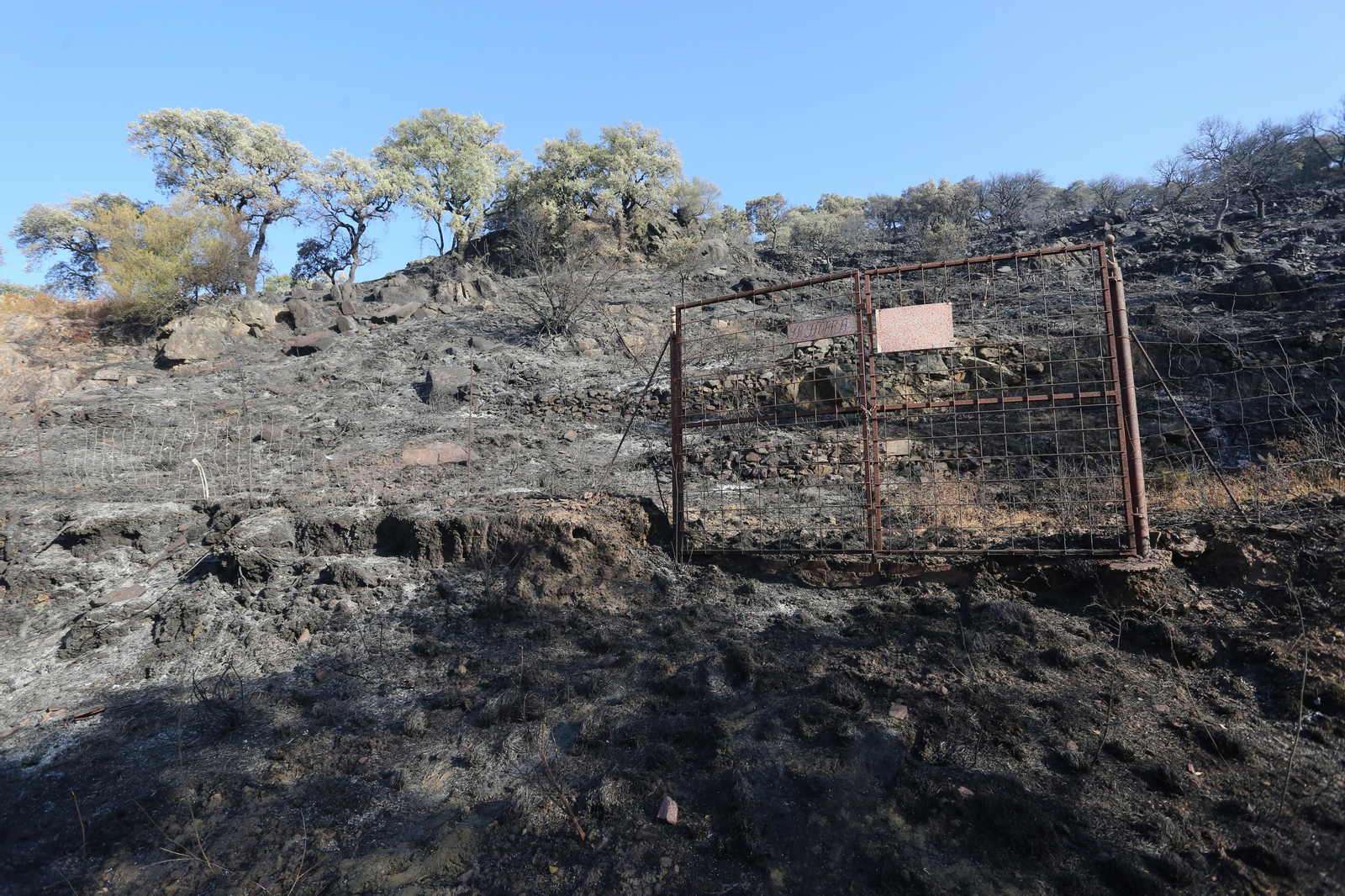 Imágenes del área afectada por el fuego del segundo día en el incendio de Almonaster