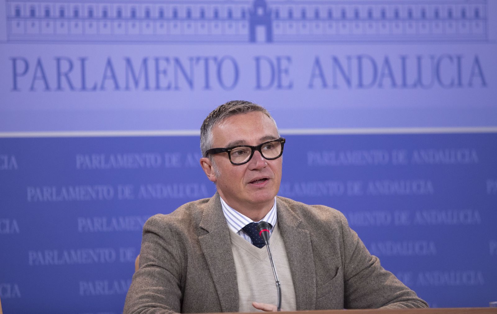 Manuel Gavira, portavoz del grupo parlamentario de Vox en Andalucía.