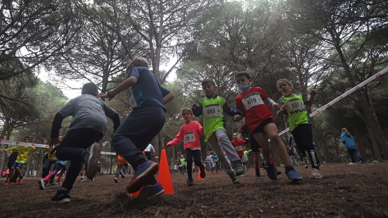 Fotos del III Cross Pinar del Rey en San Roque