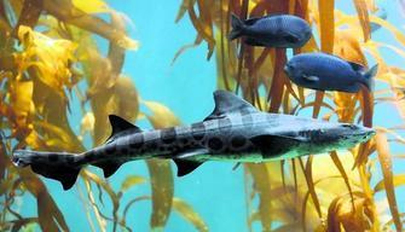 Entrada al Biodomo del Parque de las Ciencias.