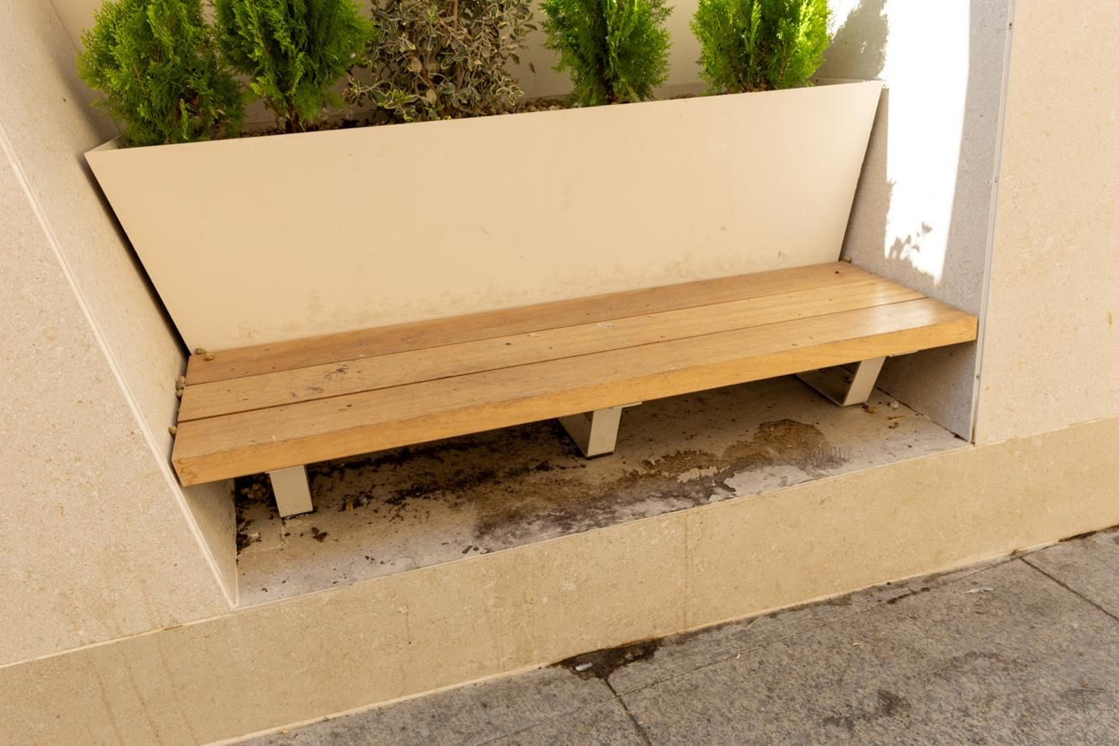 Suciedad y hierbajos toman el entorno de la Catedral de Jaén
