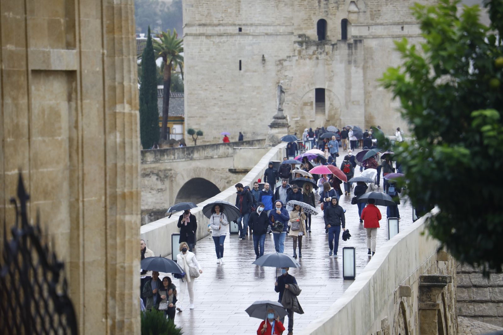 Las fotografías del regreso de la lluvia a Córdoba en pleno puente de Todos los Santos