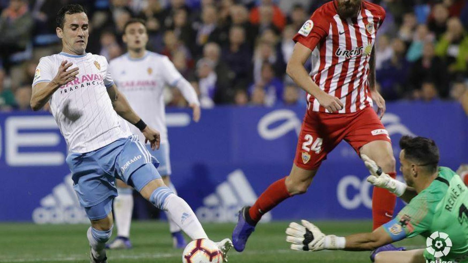 René se lanza a los pies de René.