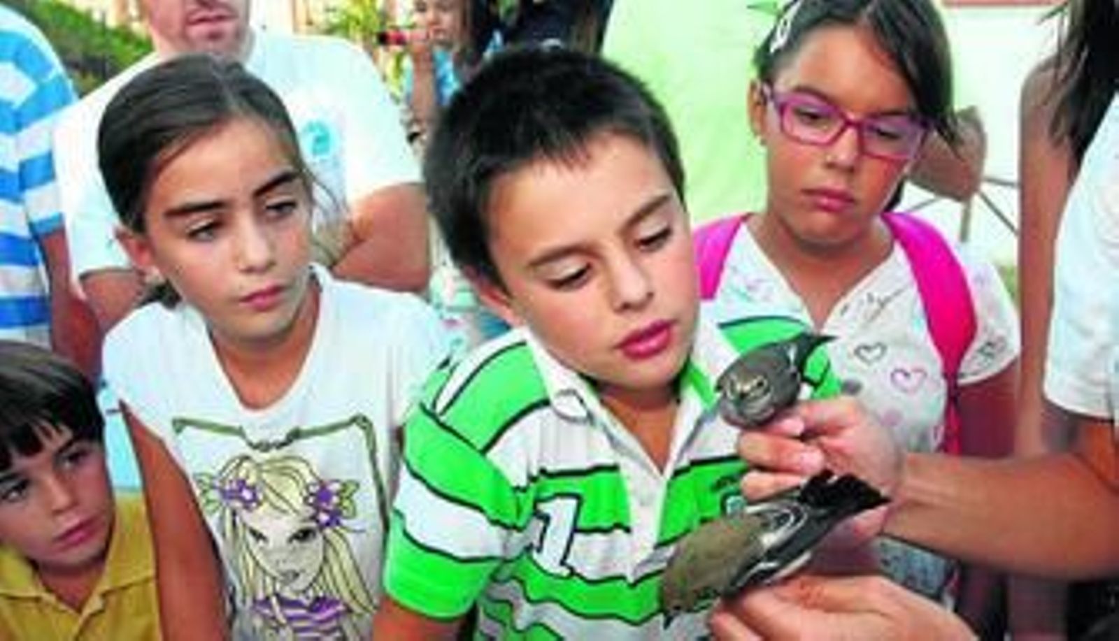 Niños en un anillamiento de aves y algunos de los diez animales seleccionados por el Aula de la Naturaleza.