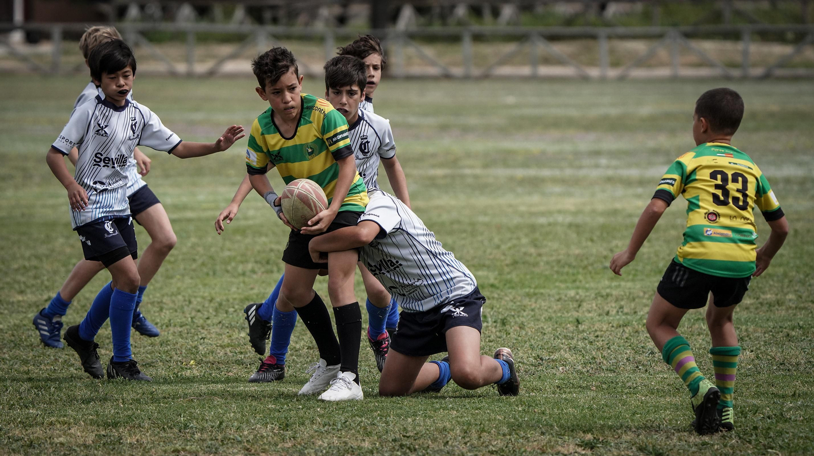 Búscate en la VI Concentración Gradual M12 en Jerez