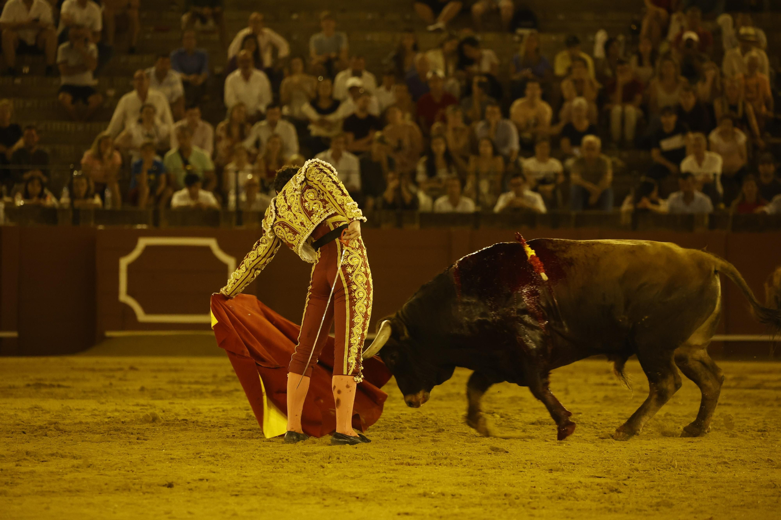 Las imágenes de la novillada en la Maestranza