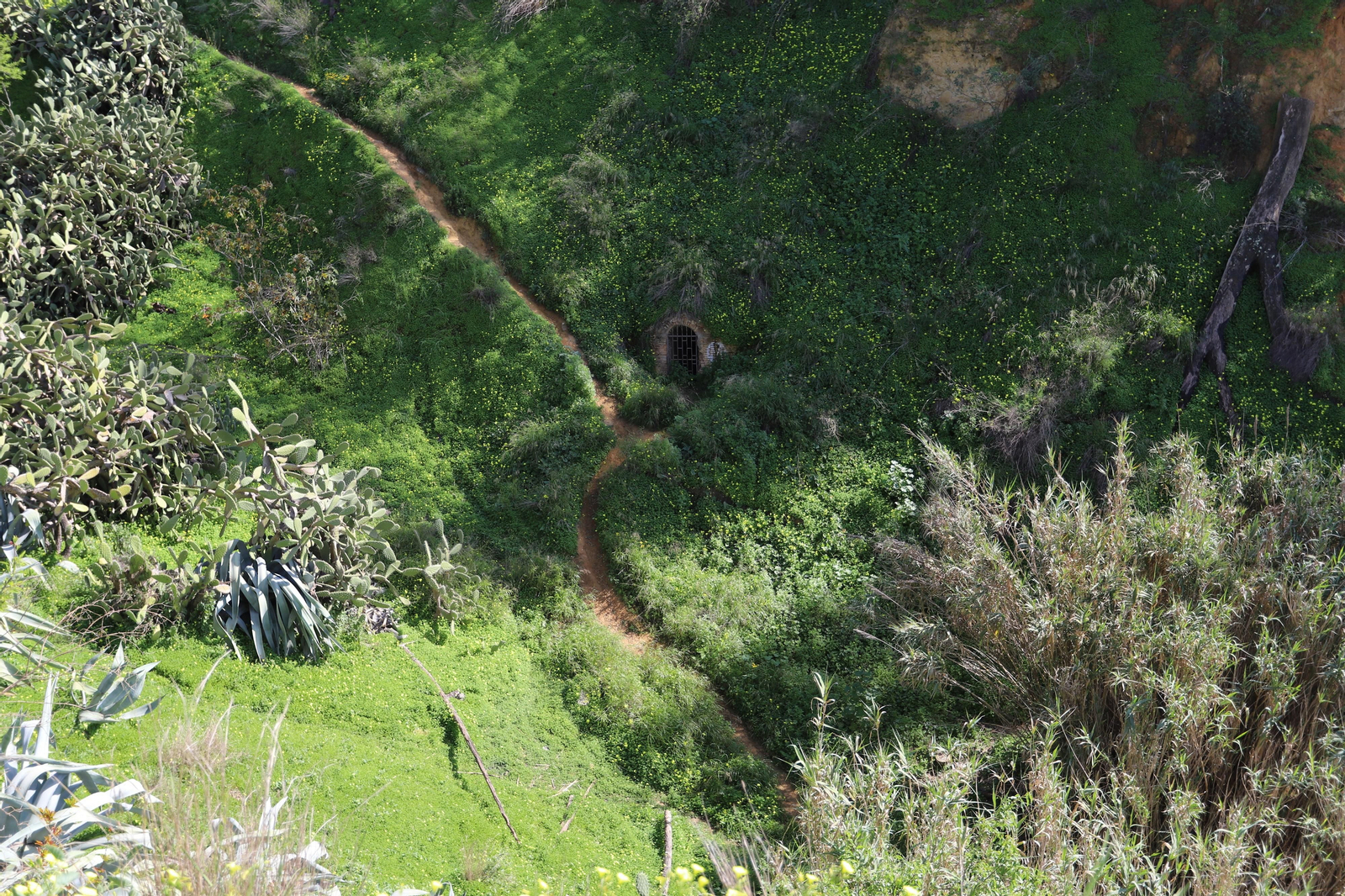 Imágenes del mirador del Conquero, de los cabezos y Fuentevieja