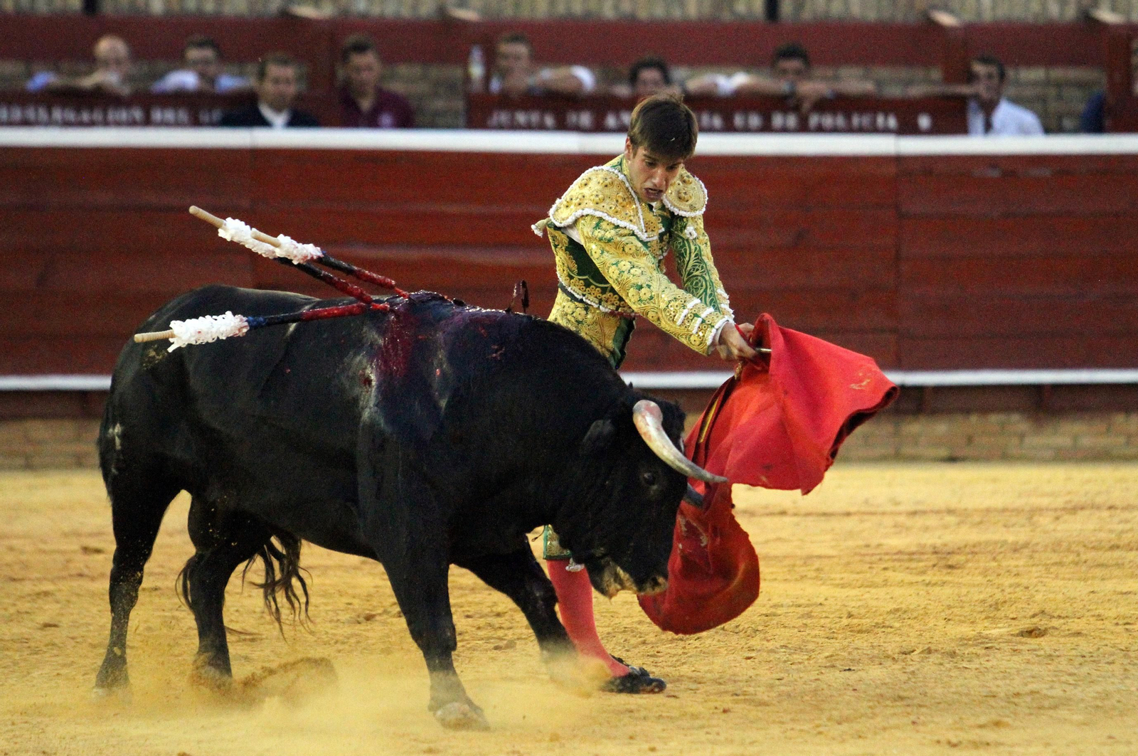 Faena de Emilio Silvera en la novillada de la Plaza de La Merced