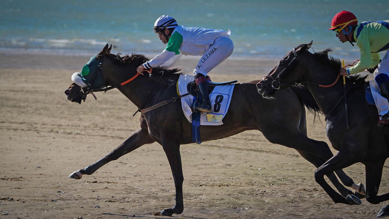 Los mejores caballos han competido en las playas de Sanlúcar un año más. Los mejores caballos han competido en las playas de Sanlúcar un año más.