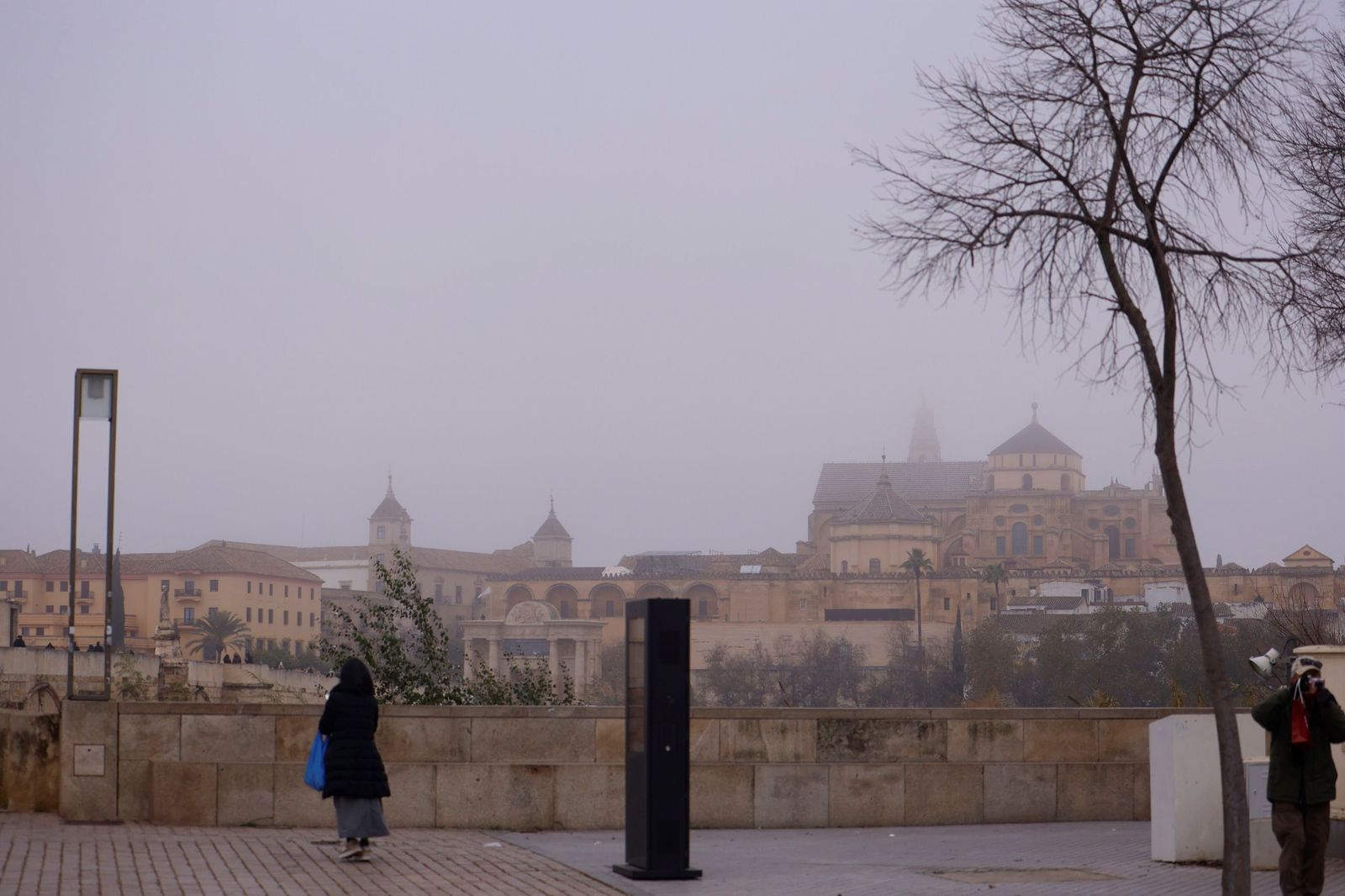 Córdoba amanece bajo la niebla el último día de 2025, en fotos