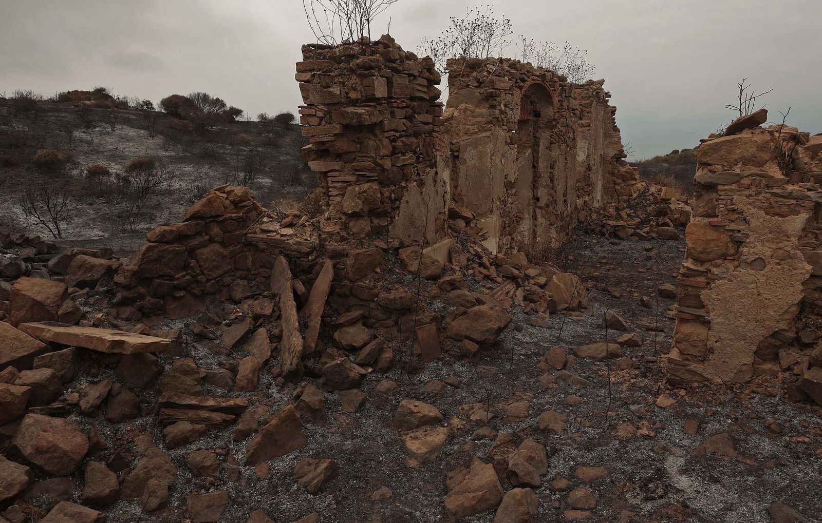 Fotos de los efectos del incendio en el Puerto del Laurel en Algeciras