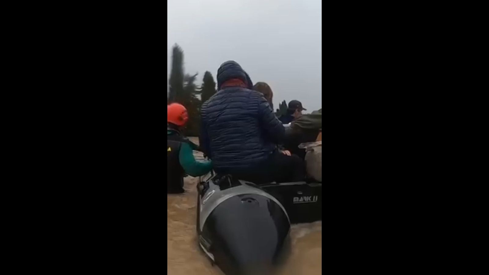 Rescatados tres perros en Jerez aislados por las intensas lluvias