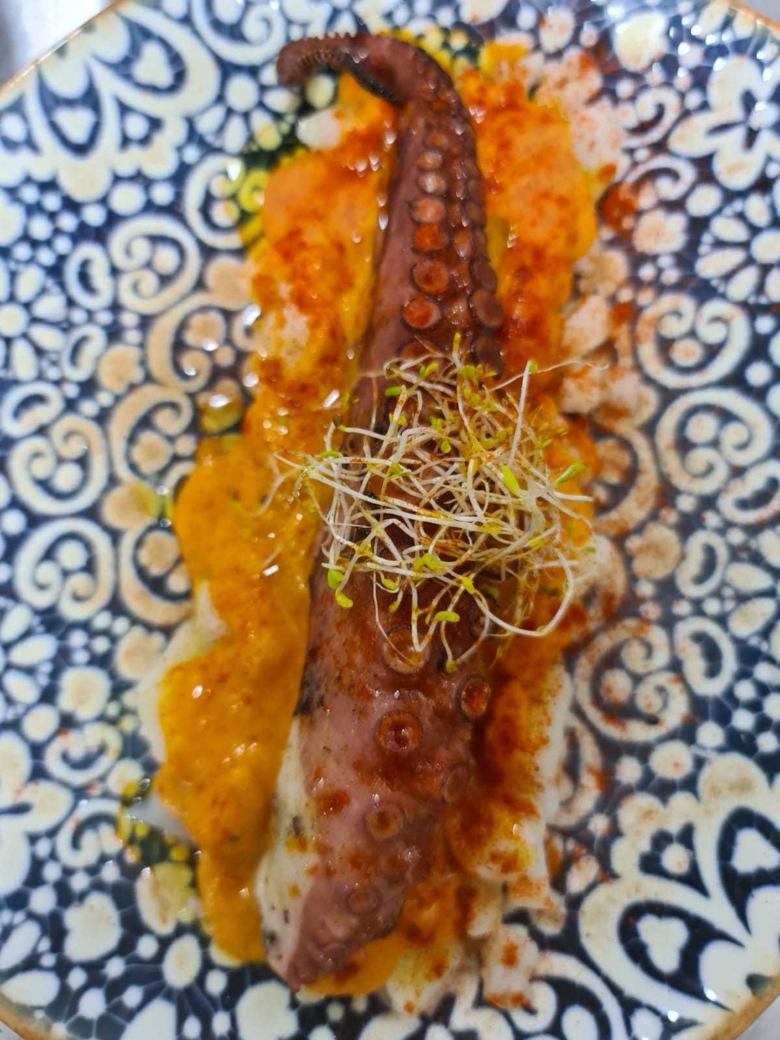 Apuesta innovadora en sus creaciones.