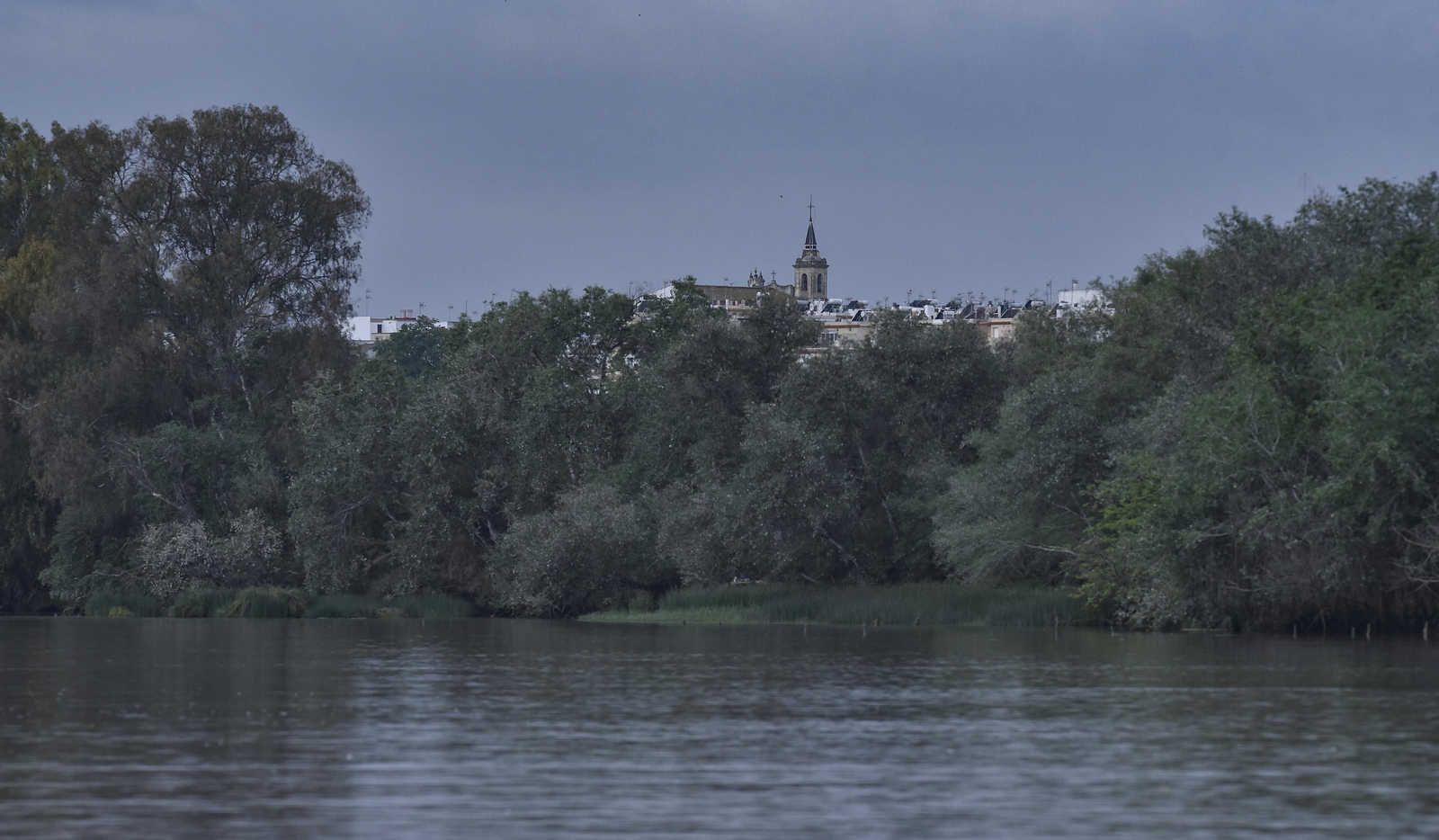 Travesía en barco por el Guadalquivir