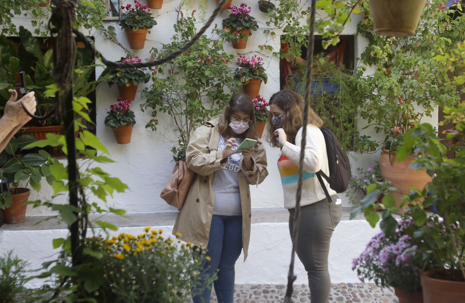Las fotografías de los Patios de Córdoba en otoño