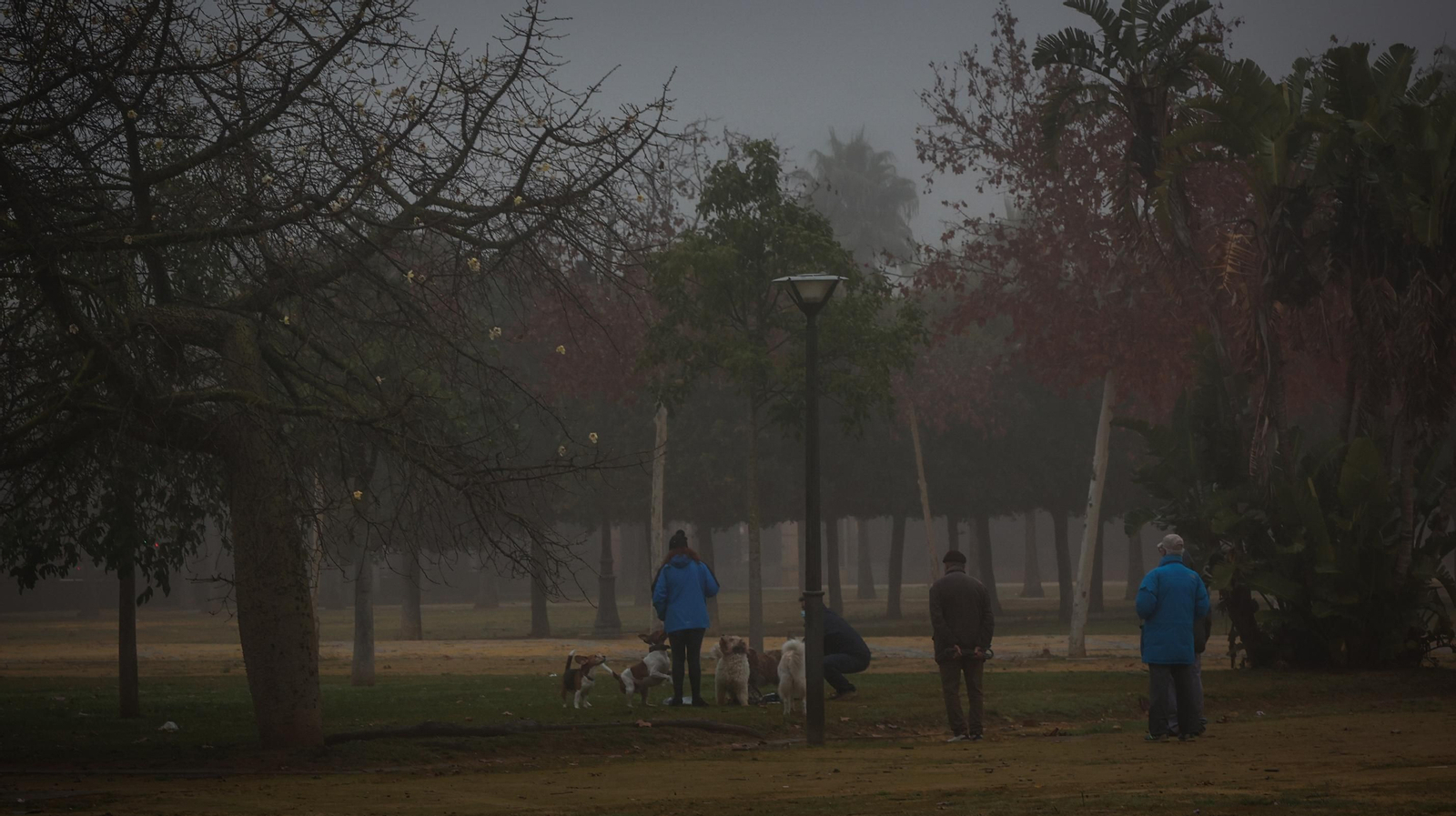Densa niebla en Jerez