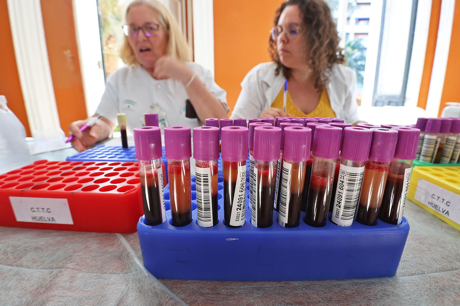 Imágenes de la macrocolecta de sangre en la Casa Colón de Huelva