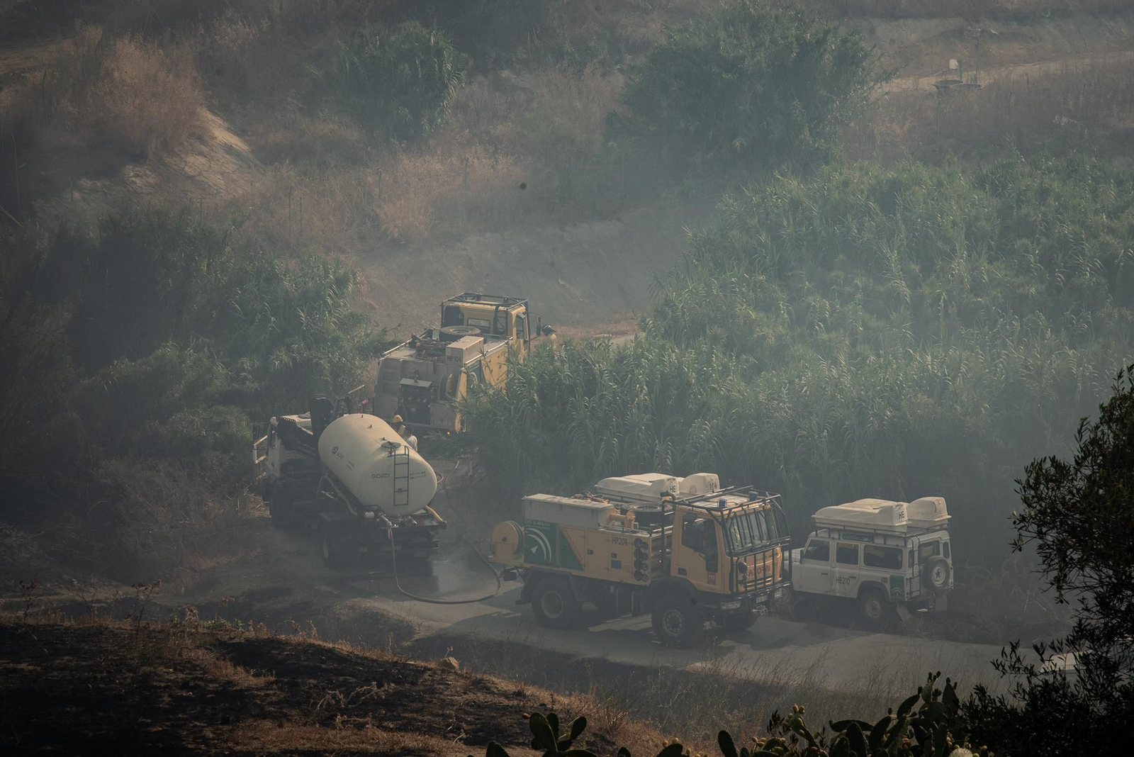 El incendio de Lucena del Puerto en imágenes