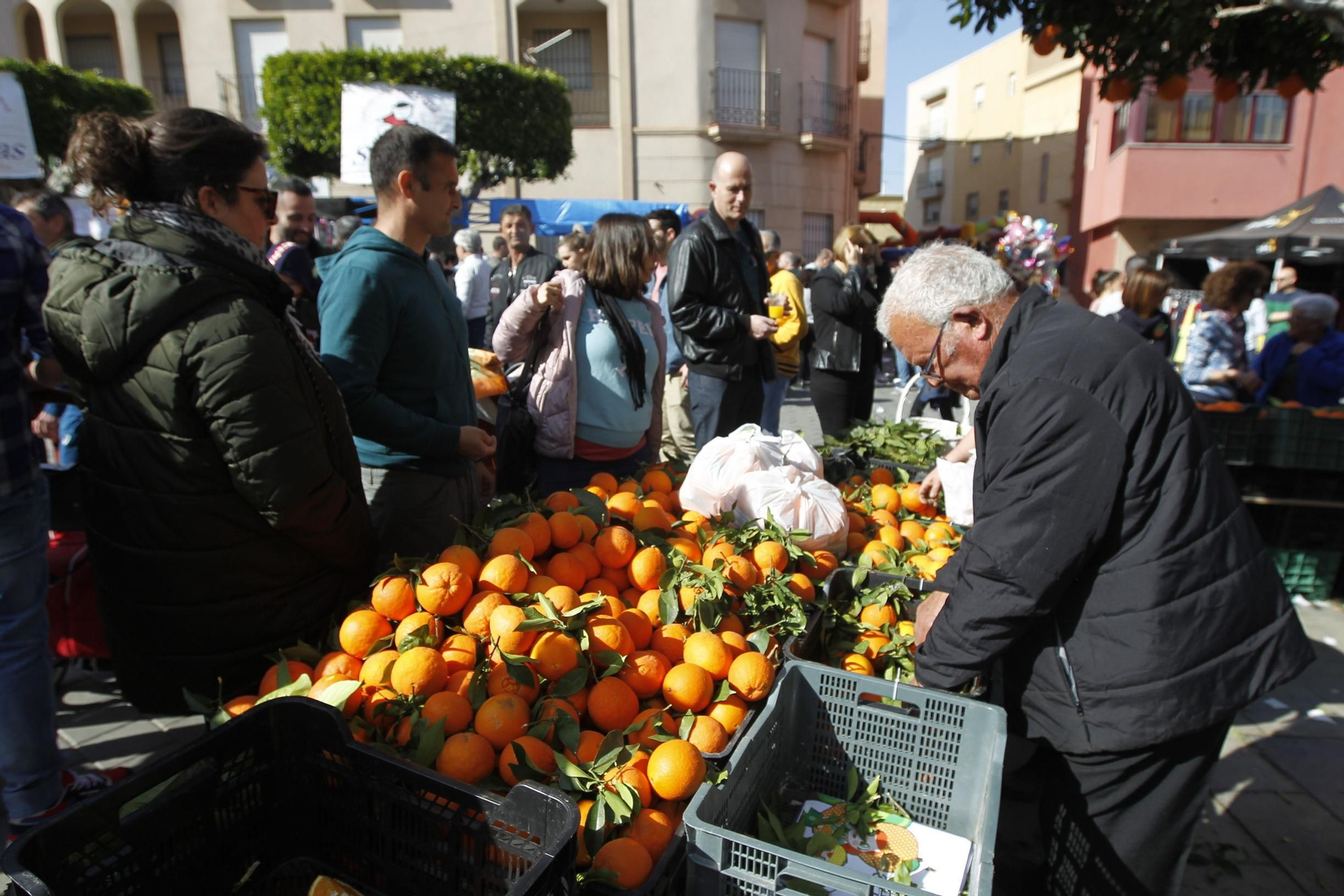 Fotogalería Día de la Naranja en Gádor