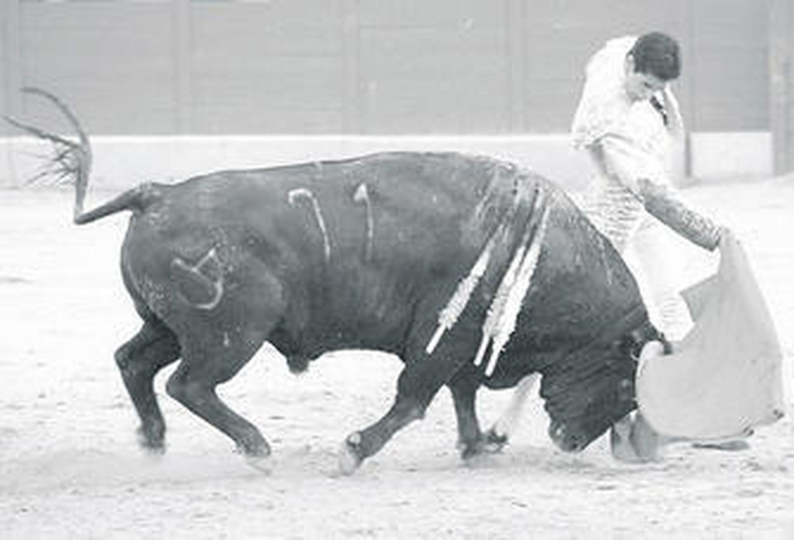 Víctor Janeiro, en una imagen de archivo toreando en la plaza de Ubrique, que ayer indultó un toro.
