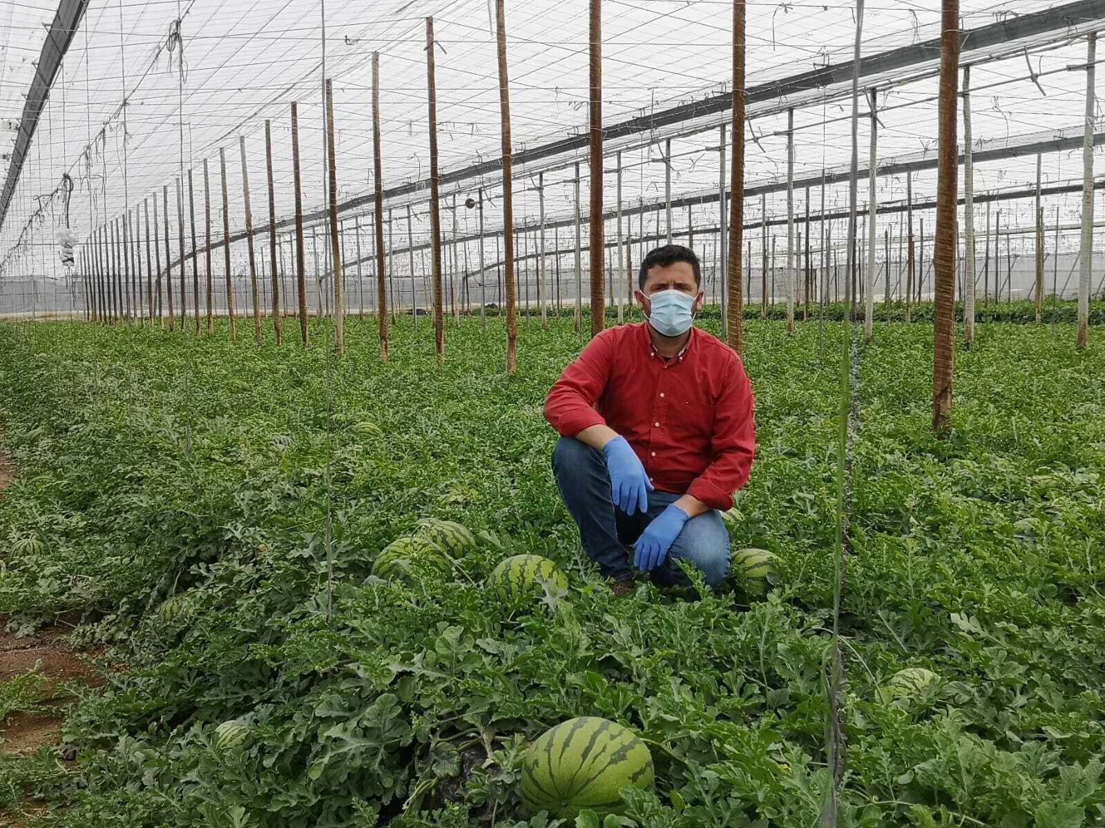 Almería seguirá alimentando a Europa