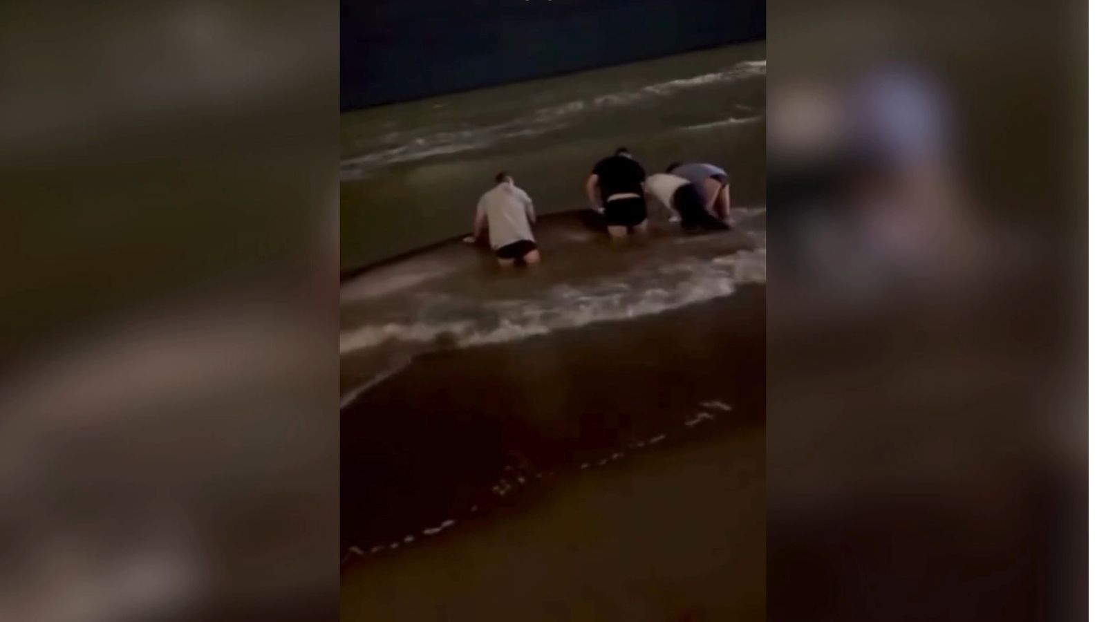 Vecinos de Benalmádena ayudando a un delfín gigante atrapado en la playa