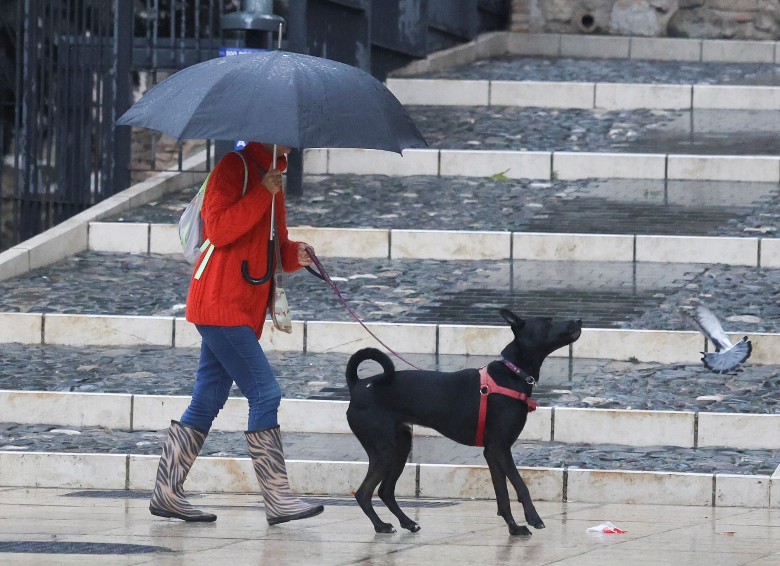 Vuelven las lluvias a Málaga: marzo trae un nuevo cambio de tiempo