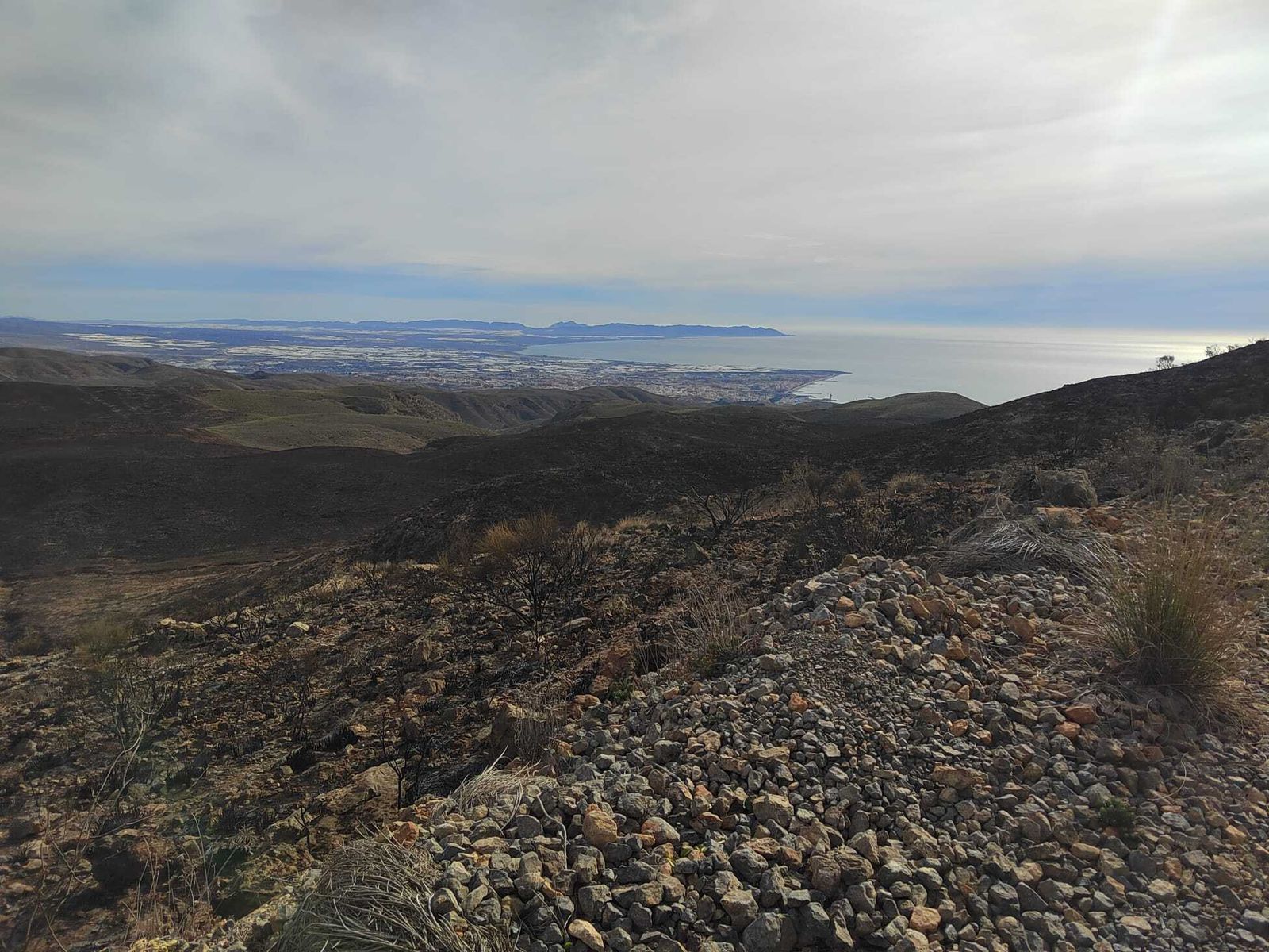 Amplias superficies quemadas evidencian la virulencia de las llamas.