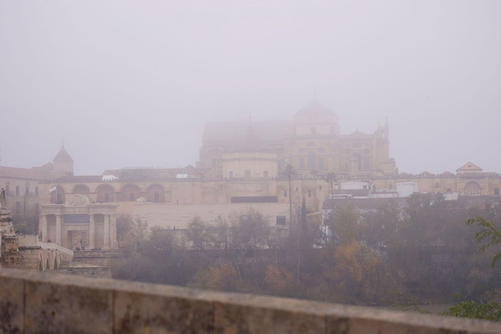 Córdoba amanece bajo la niebla el último día de 2025, en fotos
