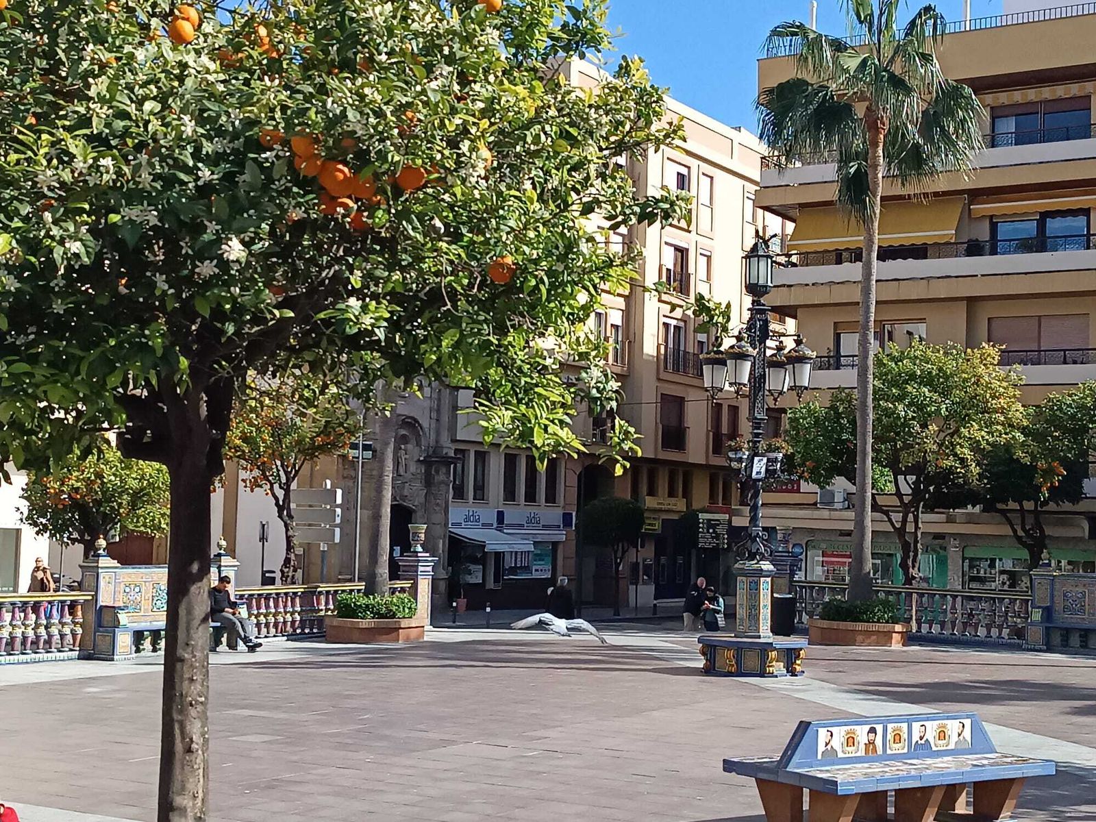 El azahar florece en Algeciras