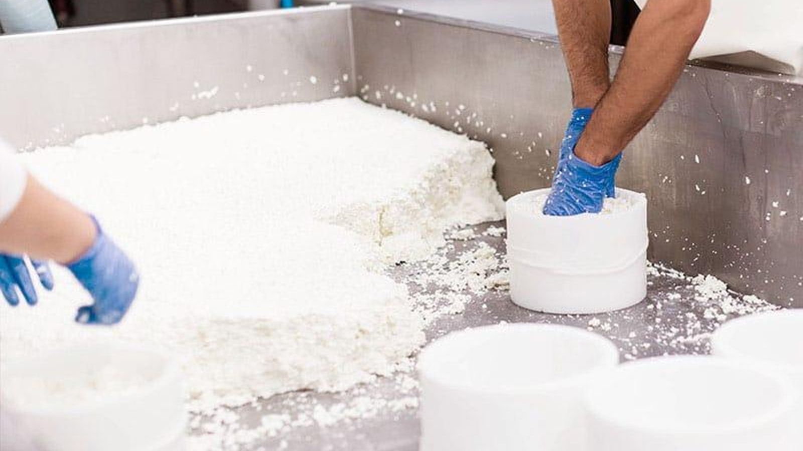 Proceso de fabricación de quesos