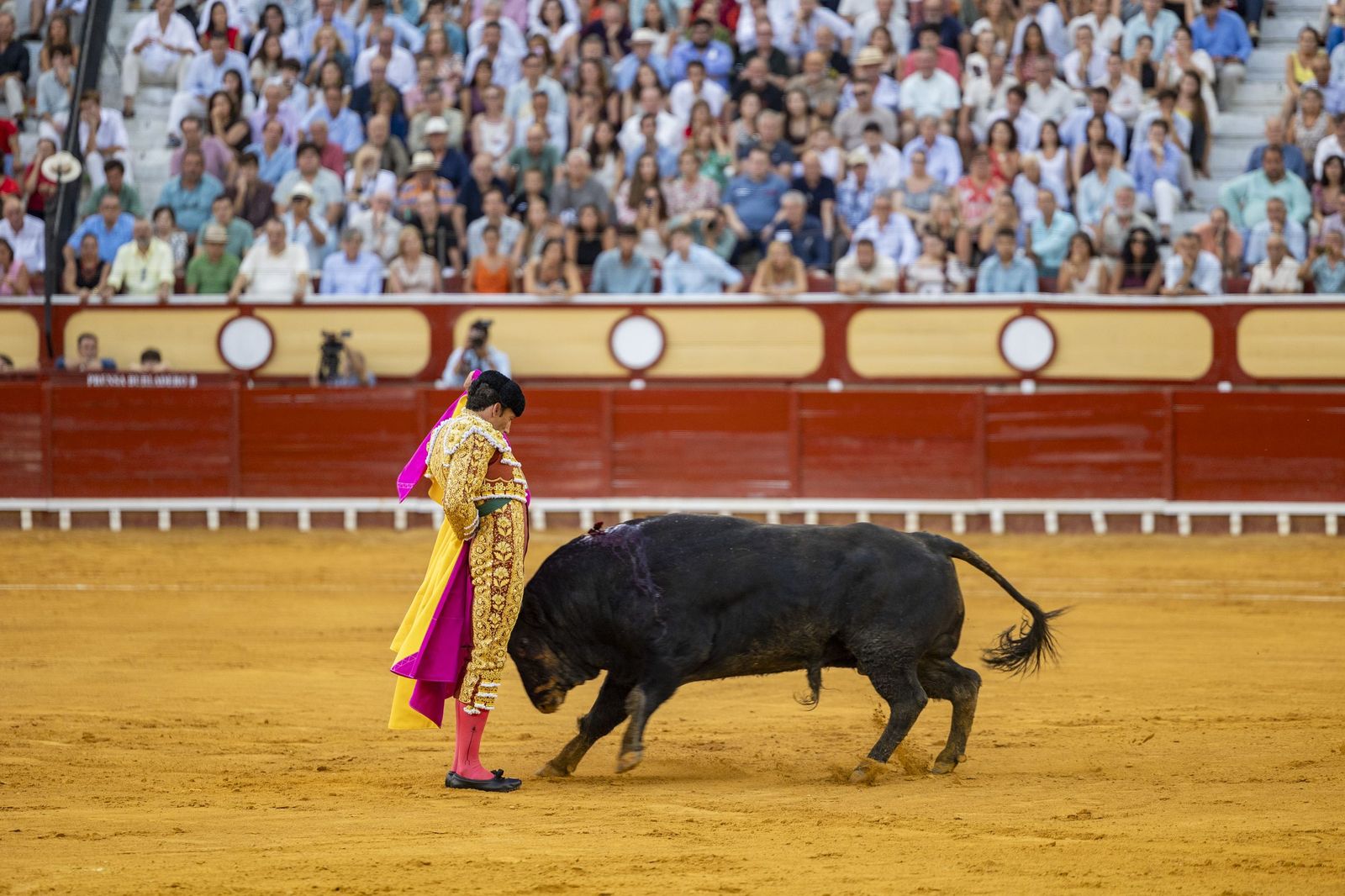 En imágenes, la última corrida de toros del verano en la plaza de El Puerto de Santa María