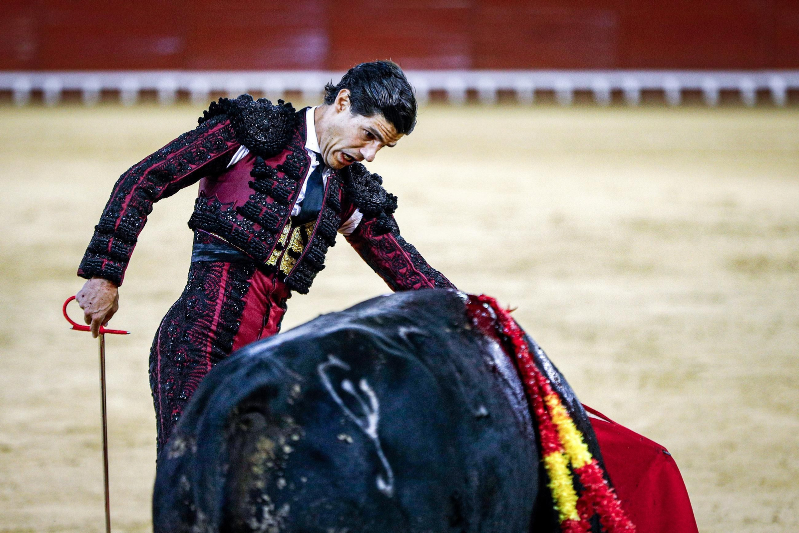 Imágenes de la corrida de toros en El Puerto: Manzanares, Roca Rey y Pablo Aguado