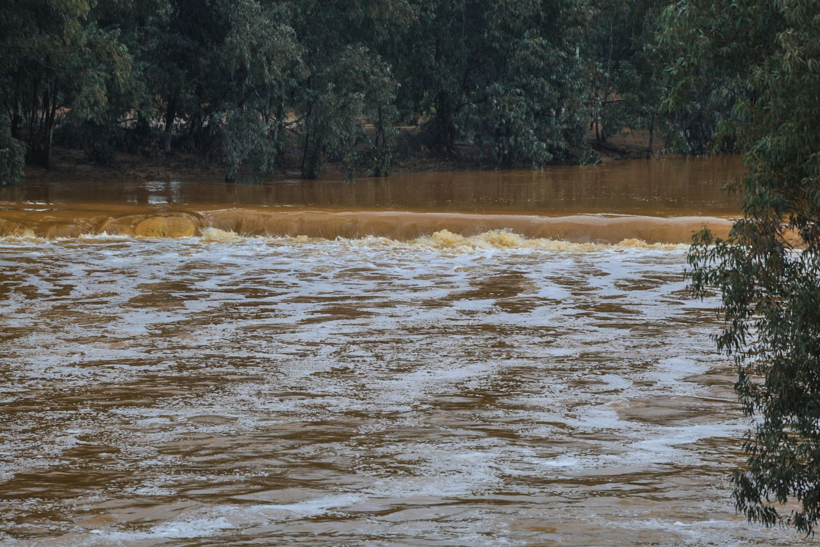 Fotografías del río Tinto a su paso por Niebla