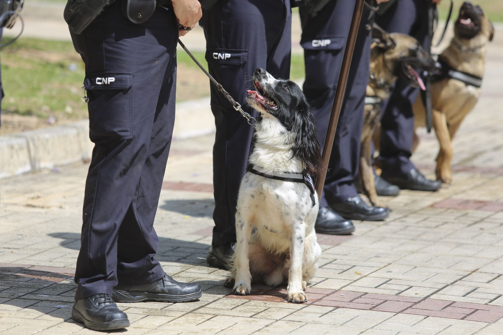 Fotos de la escultura que rinde homenaje a los policías fallecidos en Málaga