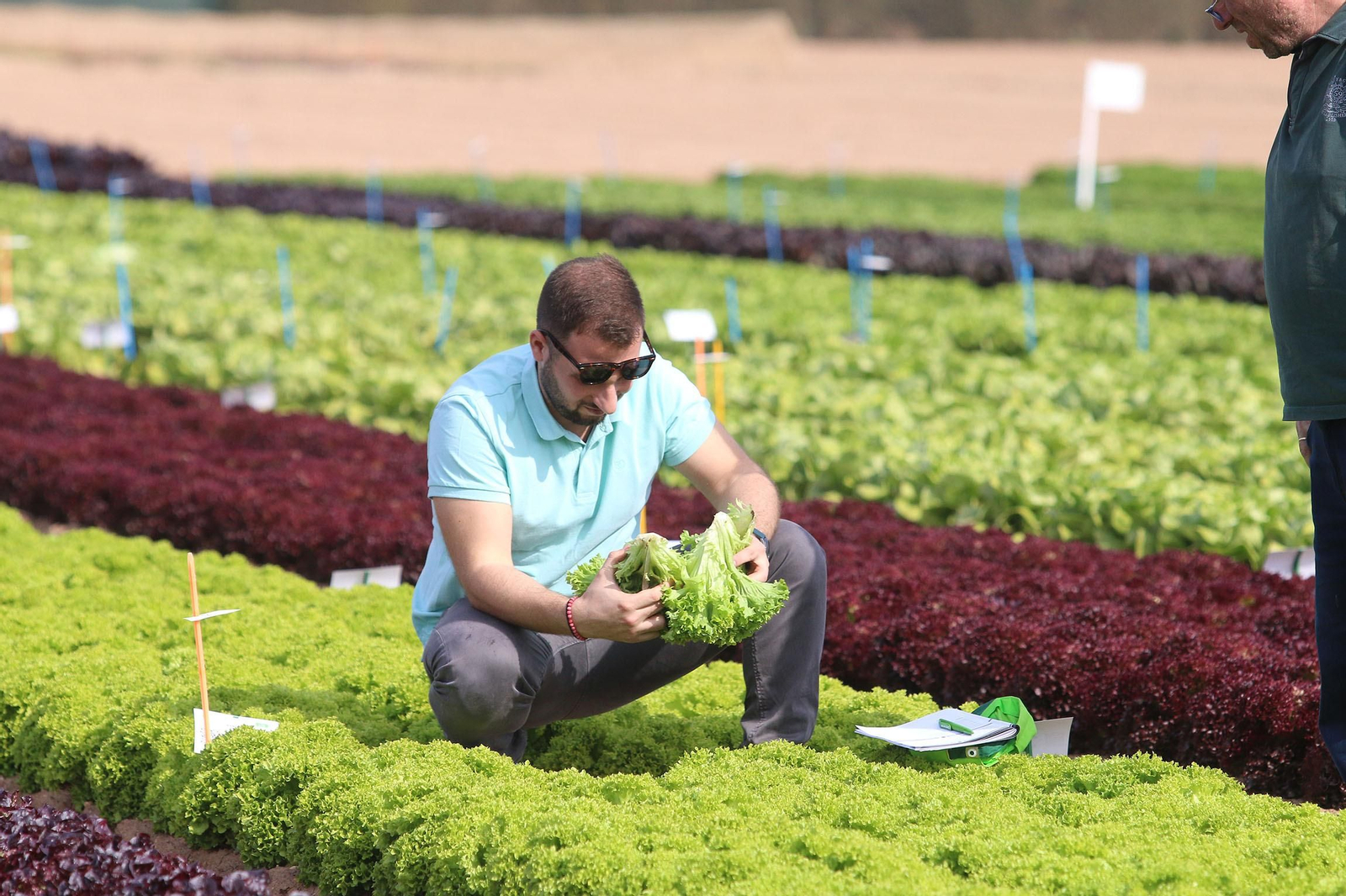 Fotogalería de las jornadas de puertas abiertas de Rijk Zwaan en Cartagena