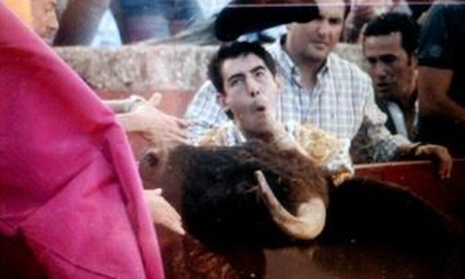 Fortes, cornada en el cuello que alcanza la base del cráneo