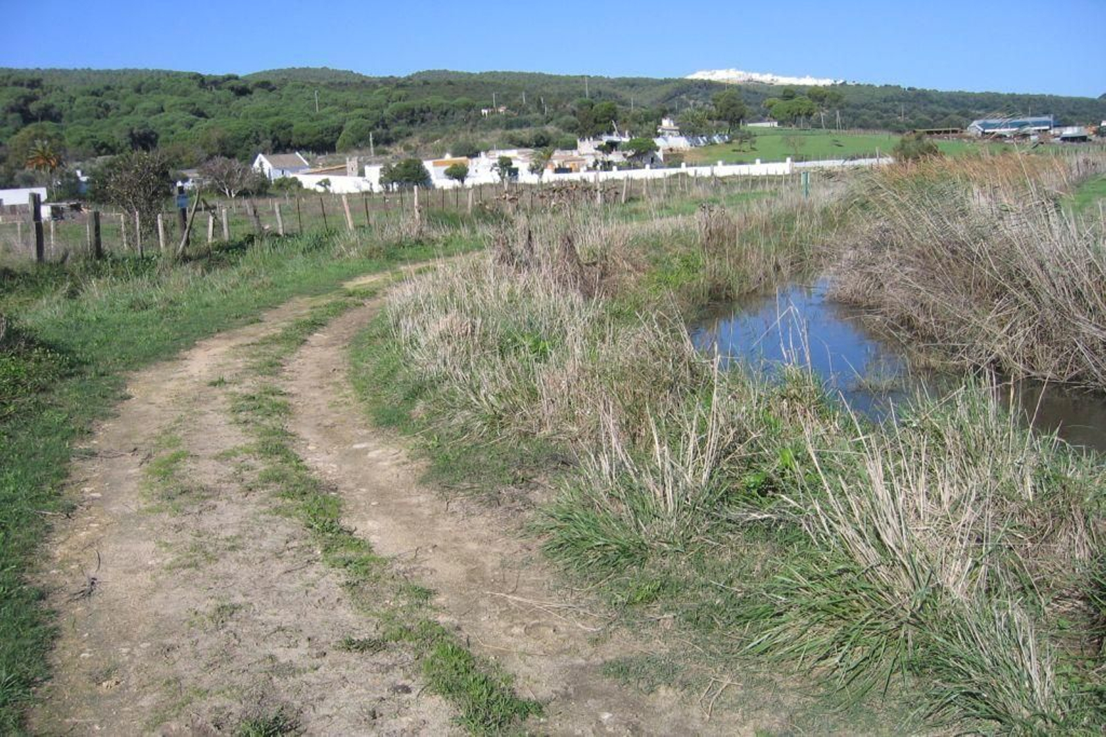 Sendero azul de las marismas del Barbate Sendero azul de las marismas del Barbate