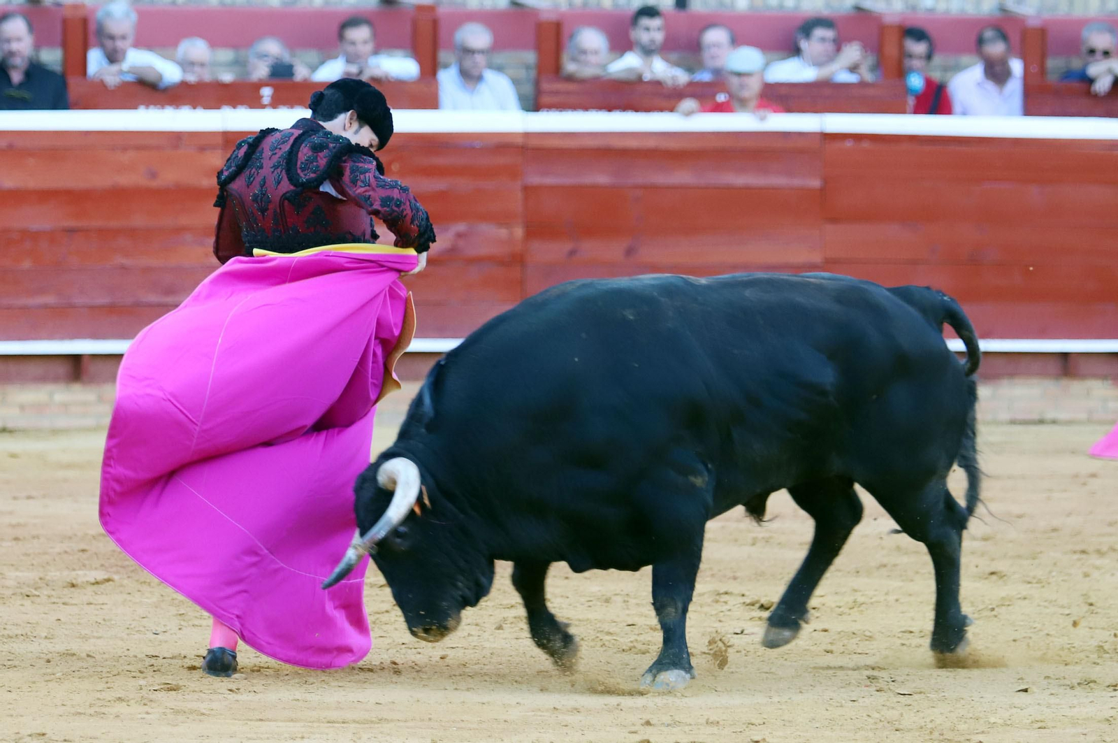 Imágenes de Morante de la Puebla, David de Miranda y Pablo Aguado en la Plaza de Toros La Merced