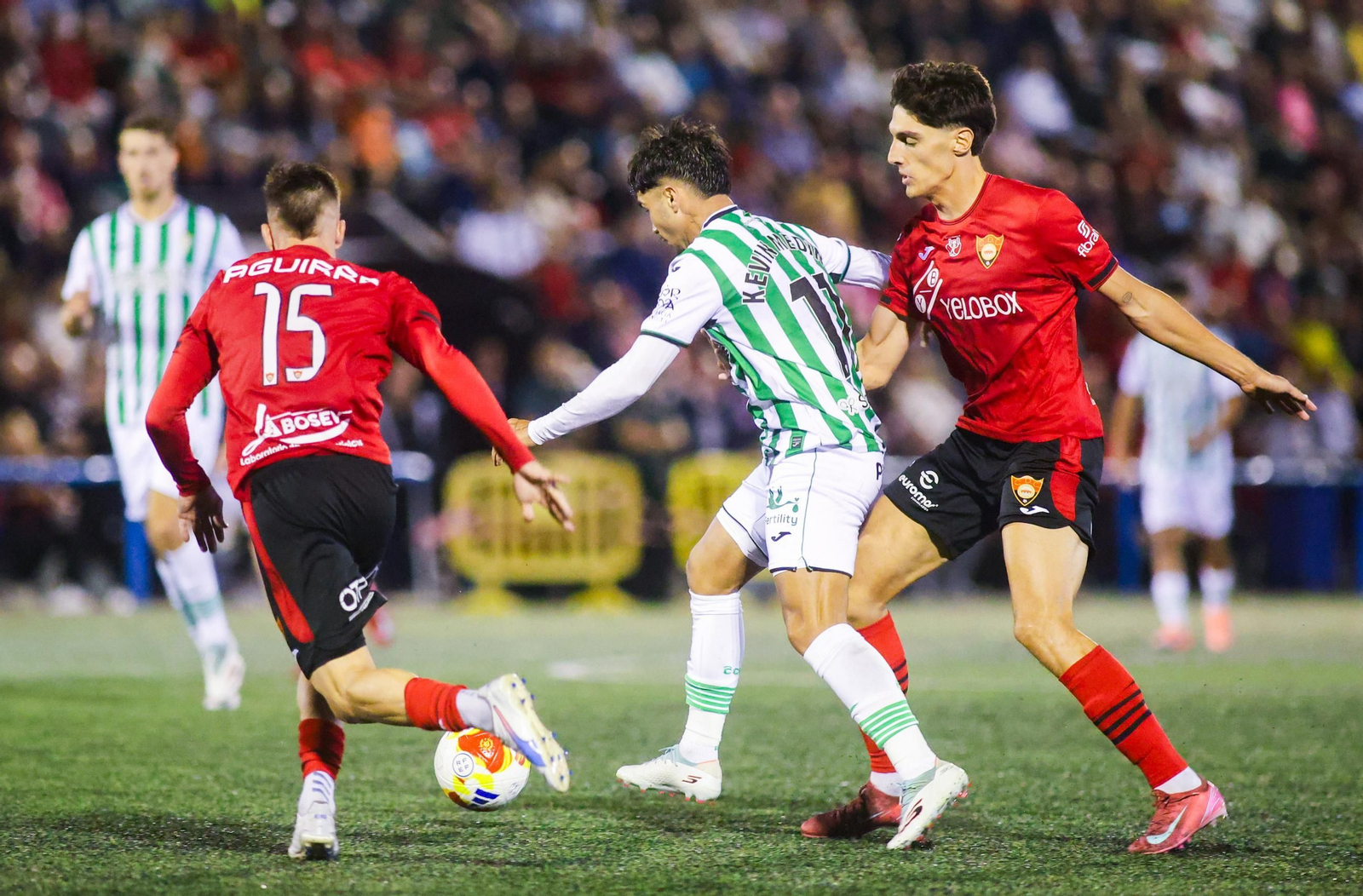 La eliminación del Córdoba CF en Cieza, en imágenes