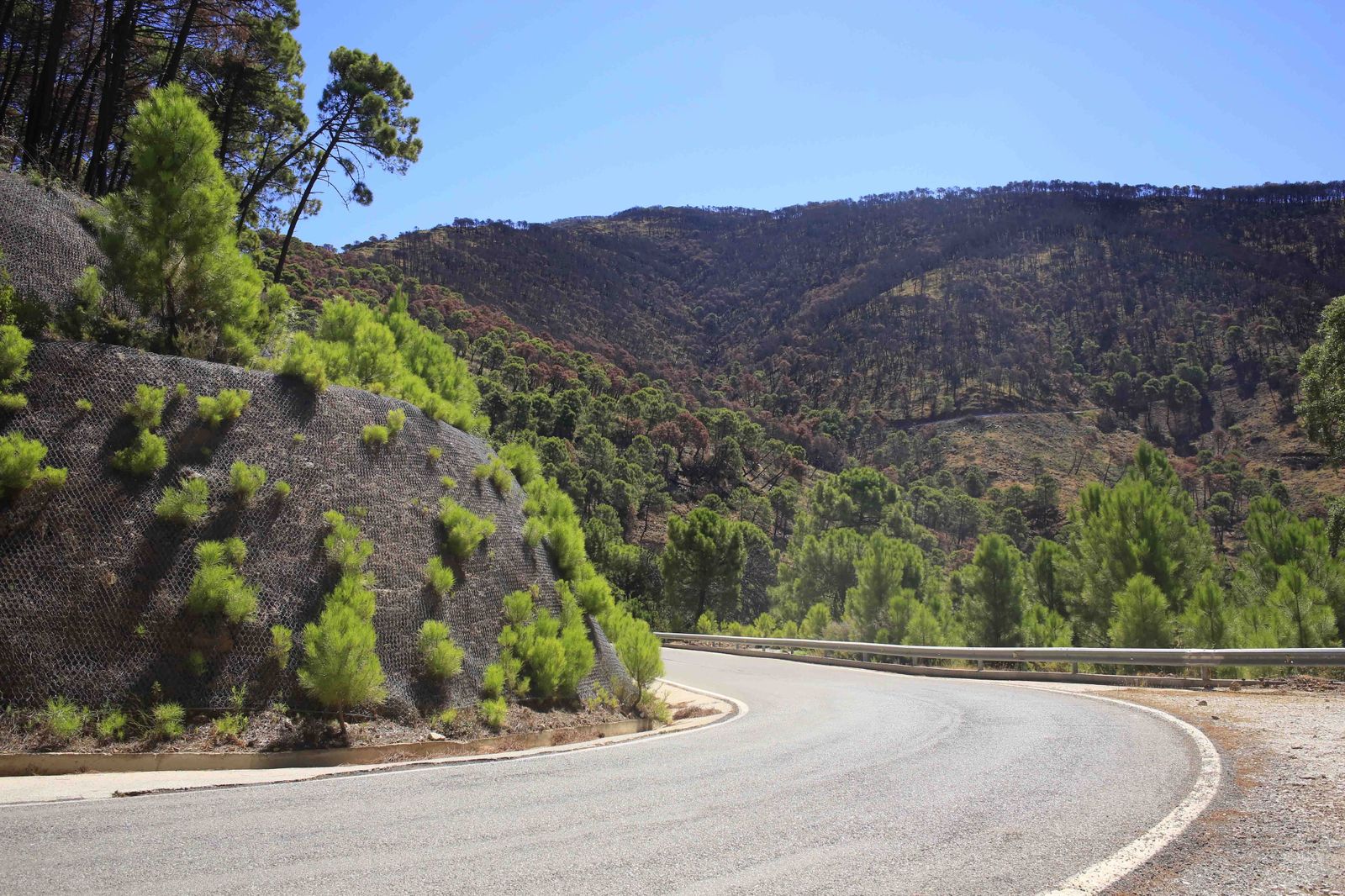 Un año del gran incendio de Sierra Bermeja, en fotos.